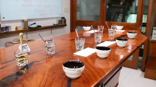 COFFEE CUPPING AND WHAT YOU SHOULD KNOW